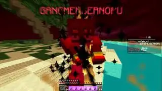 NOPU / GANGMEMBERNOPU (11,10,5,4 POTTED)