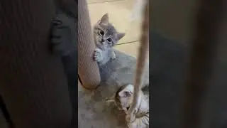 Тесак с Варюхой желают всем хорошего дня ❤️ 