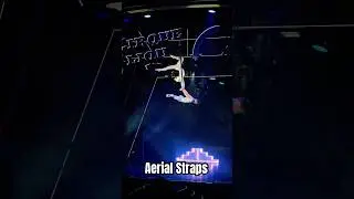 Aerial straps 🫣 would you try? 
