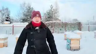 Рождественская, январская инспекция состояния пчелиных семей при зимовке на воле.