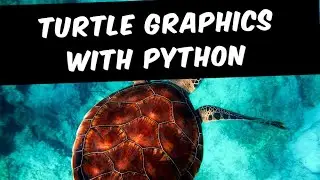 Turtle Graphics with Python | Class 12 | Programming Technology 