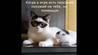 Шпиён побольше и шпиён поменьше