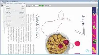 Haihaisoft PDF Reader video demo