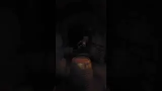 Проверка на вшивость🐵 Amnesia The Bunker