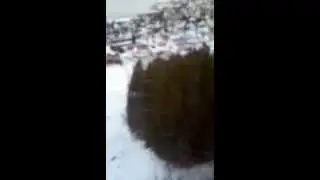 Тромсё # 8