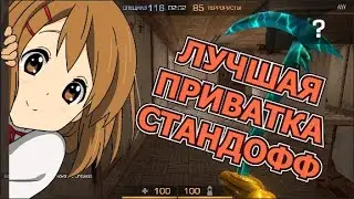 ЛУЧШИЕ ПРИВАТКИ СТАНДОФФ 2