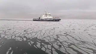 Первый лёд в финском заливе