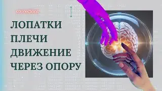 Стабильные лопатки. Движение через опору костей тела на пол.