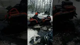 Красное BRP на черном торфе 
