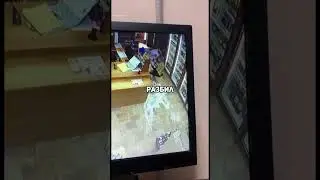 ПИВОЗАВРЫ ОБЩИЙ СБОР #юмор #топор #новости