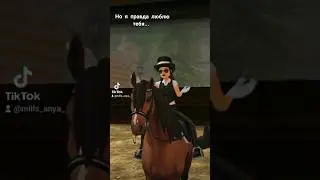 Это был мой самый лучший проект в  Star Stable✨ Всегда буду помнить тот прежний клуб - Ice Queens👑