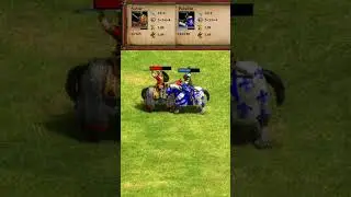 Savar vs Paladin (AoE2) 