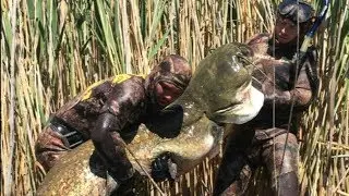 Самые Большие Рыбы 