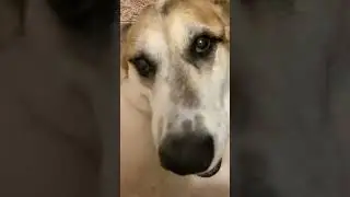 Чудесного вам дня в нашей компании 🤗😍