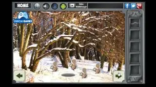 Winter Forest Escape Walkthrough