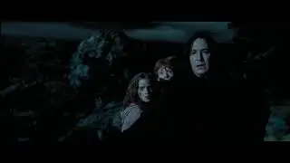 Harry Potter and the Prisoner of Azkaban/Best scene/Daniel Radcliffe/Gary Oldman/David Thewlis
