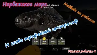 И снова трофейный центролоф!!! 