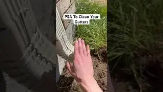 PSA To Clean Your Gutters
