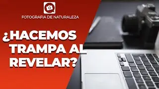 ¿Los fotógrafos, HACEMOS TRAMPA al revelar?