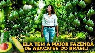 A INCRÍVEL MAIOR PRODUTORA DE ABACATES DO BRASIL