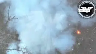 Коротко. Війна. День 681. Відеодайджест Briefly. War. Day 681. Video digest