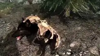 Skyrim Daily Mod Shout Out #185 Meeko Reborn