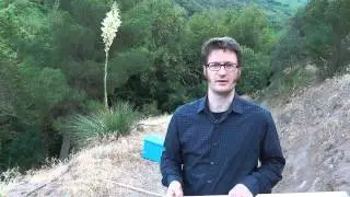 How to catch a rattlesnake