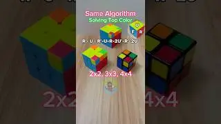 Solving Top Color 2x2 3x3 4x4 Rubik’s Cube • Same Algorithm