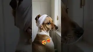 #♡Один в один. Вермер 