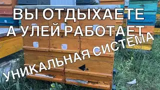 УЛЕЙ ДЛЯ ОТДЫХА