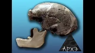 Сергей Дмитриев: 