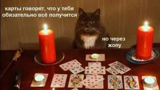 ❤️😻 ОБЗОР КОЛОДЫ ТАРО МАСТЕРА (ТАРО ВОЛАНДА)❤️‍🔥🔥