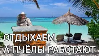 УЛЕЙ ДЛЯ ОТДЫХА В ЛЮБОМ ВОЗРАСТЕ