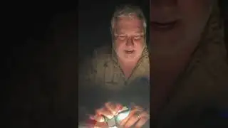 The Camping Feature You Never Knew You Needed!