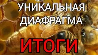 УНИКАЛЬНАЯ ДИАФРАГМА ИТОГИ РАБОТЫ