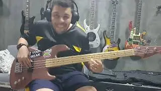 Over Funk - Red Hot Chili Peppers - Using 4 FLEA BASSES!!!!