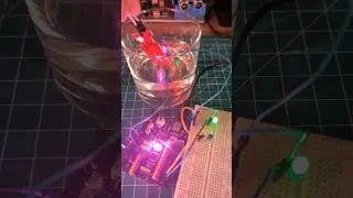 Water Sensor