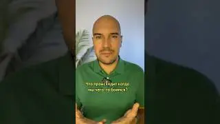 Что происходит когда мы чего-то боимся? 