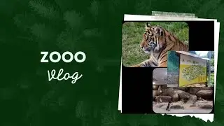 Byculla zoo Mumbai | Rani baug | veer jijamata udyan |#zoo #animals #love #viral #views #vlog