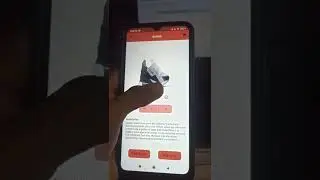 flutter firebase app 