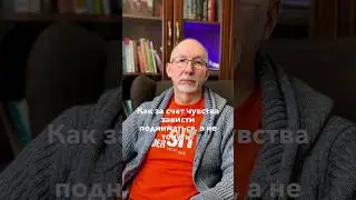 Чувство зависти может идти на пользу? 