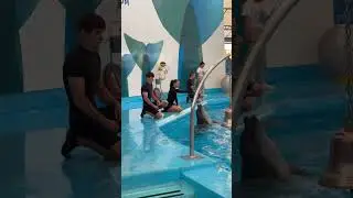 Паттайя. Песня дельфина!)) Pattaya Dolphinarium. 