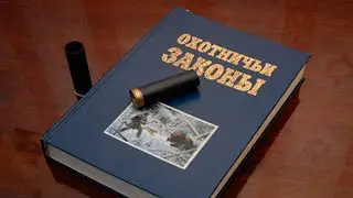 Немного о бредовости наших охотничьих законов