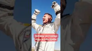 Новая 