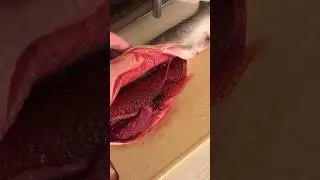 Нашла икру в рыбе  как правильно выбрать горбушу