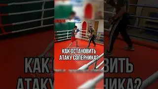 Как остановить атаку боксёра? 