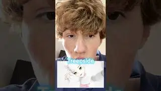 Treepside показал лицо