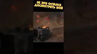Не зря остался досмотреть бой | 