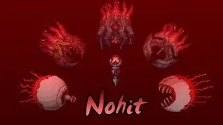 Terraria Calamity Mod: Deathmode Calamitas + Twins At The Same Time (Nohit) [50 Subs Special]