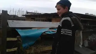 Красивые козочки в гостях у козлят🐐